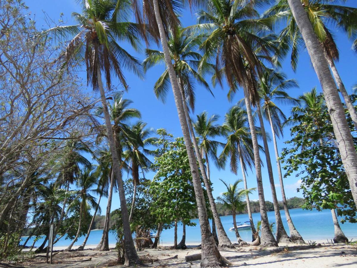 Bocas Del Mar Ξενοδοχείο Boca Chica Εξωτερικό φωτογραφία